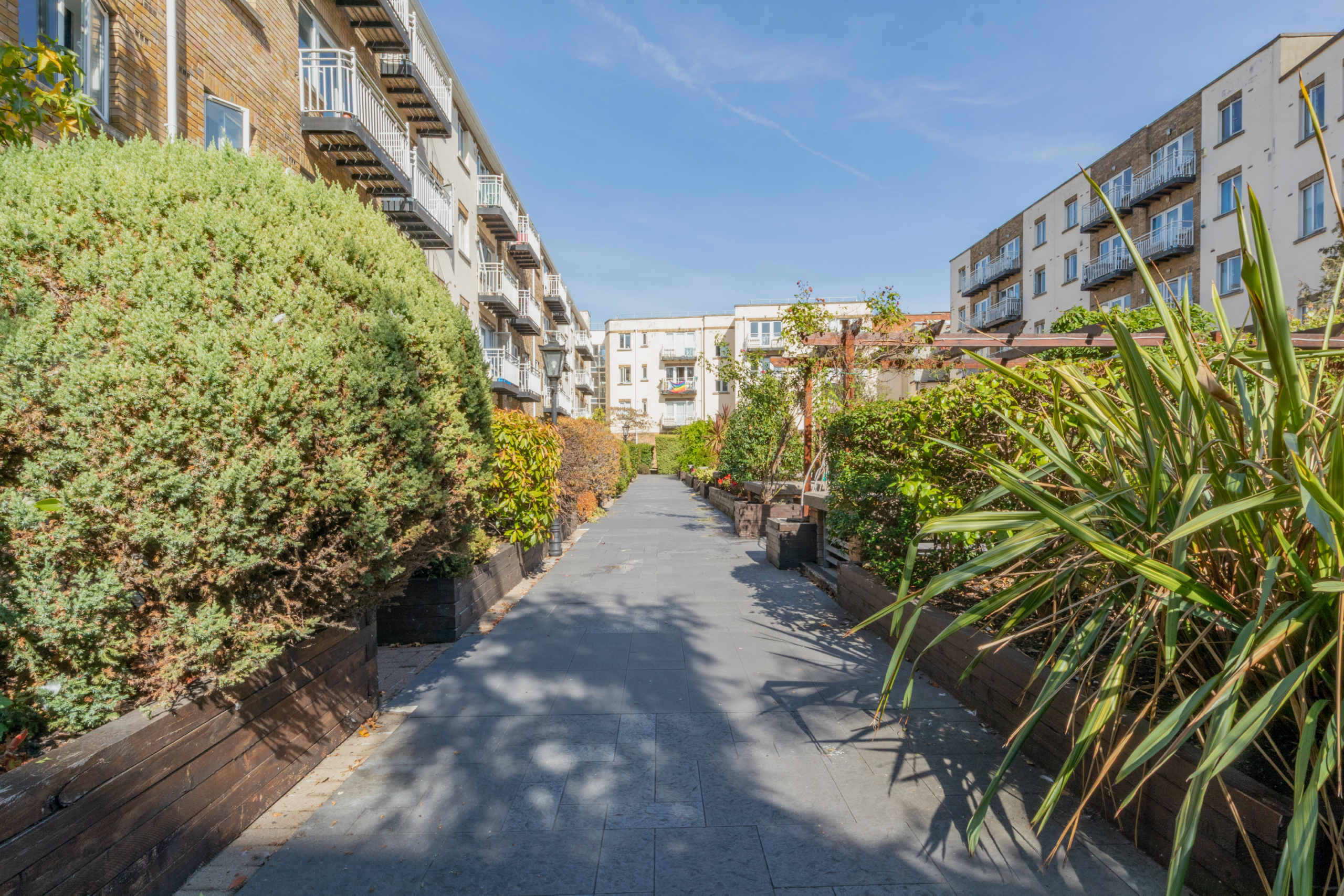 Resident Garden(1)