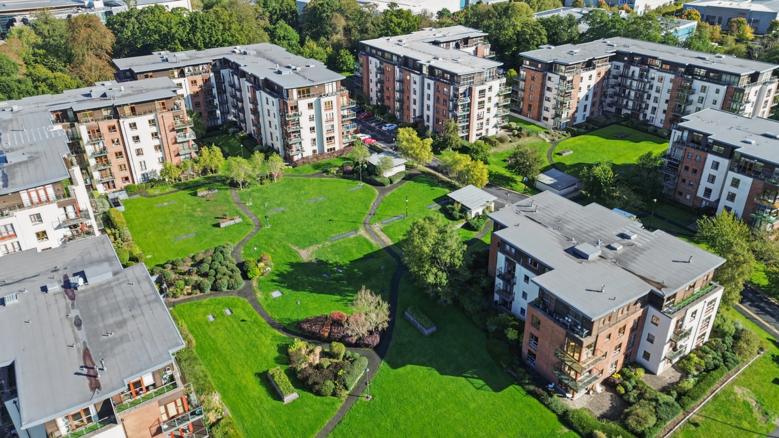 Aerial(1)